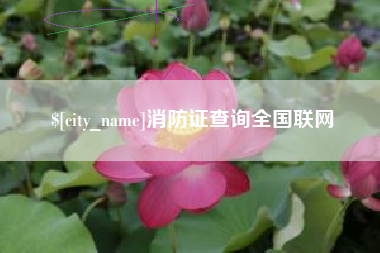 淮安消防证查询全国联网