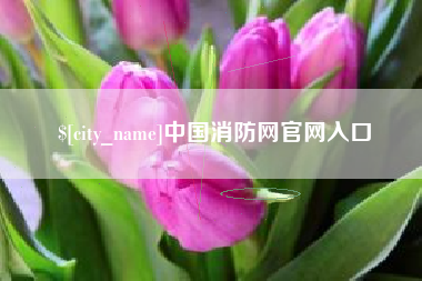 淮安中国消防网官网入口