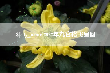 淮安2022年九宫格飞星图
