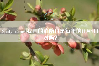 淮安我国的消防日是每年的11月9日对吗？