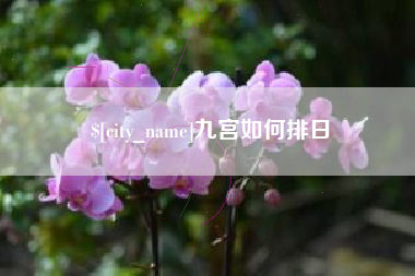 淮安九宫如何排日