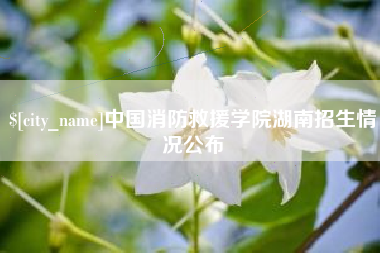 淮安中国消防救援学院湖南招生情况公布