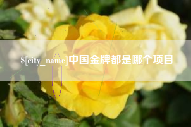 淮安中国金牌都是哪个项目
