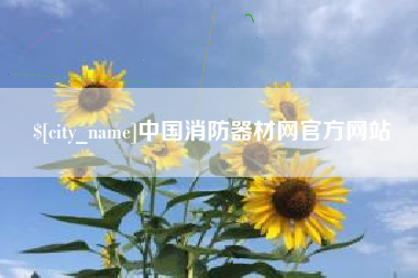 淮安中国消防器材网官方网站