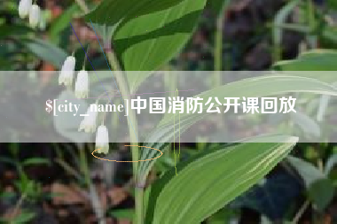 淮安中国消防公开课回放