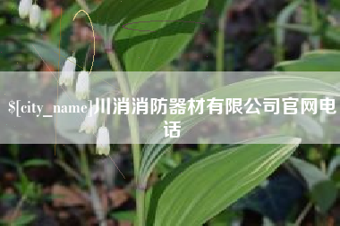 淮安川消消防器材有限公司官网电话