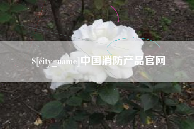 淮安中国消防产品官网