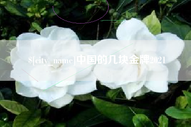 淮安中国的几块金牌2021