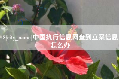 淮安中国执行信息网查到立案信息怎么办