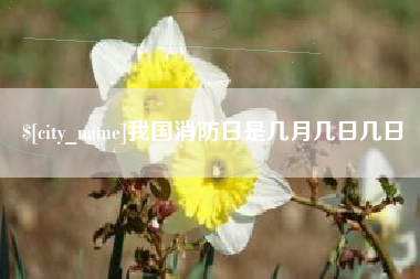 淮安我国消防日是几月几日几日