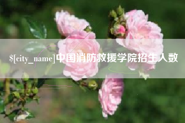 淮安中国消防救援学院招生人数