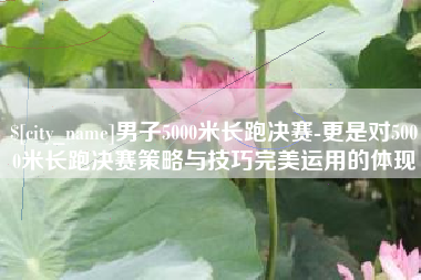 淮安男子5000米长跑决赛-更是对5000米长跑决赛策略与技巧完美运用的体现