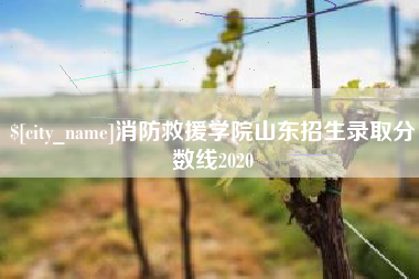 淮安消防救援学院山东招生录取分数线2020