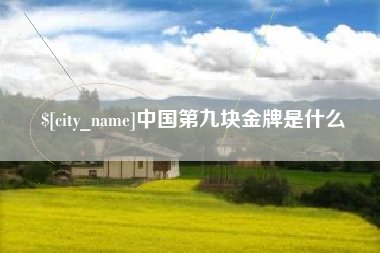 淮安中国第九块金牌是什么
