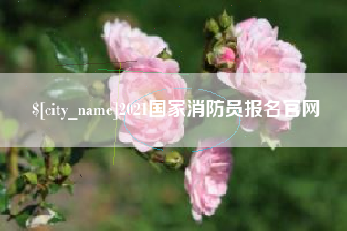 淮安2021国家消防员报名官网
