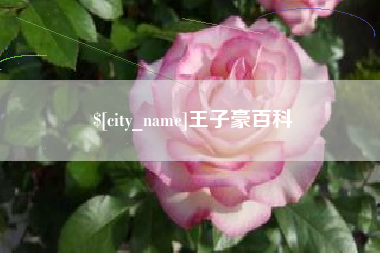 淮安王子豪百科