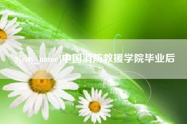 淮安中国消防救援学院毕业后