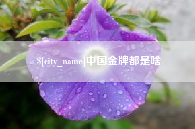 淮安中国金牌都是啥