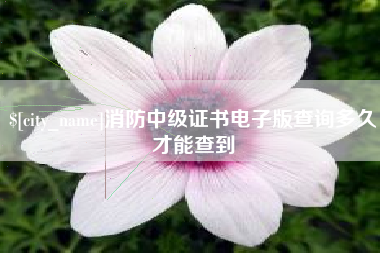 淮安消防中级证书电子版查询多久才能查到