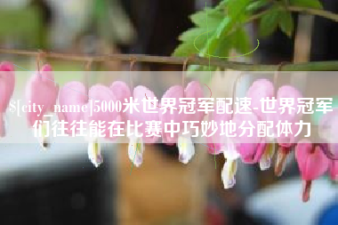 淮安5000米世界冠军配速-世界冠军们往往能在比赛中巧妙地分配体力