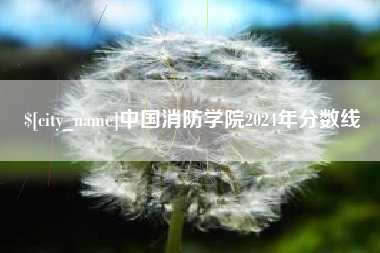 淮安中国消防学院2024年分数线