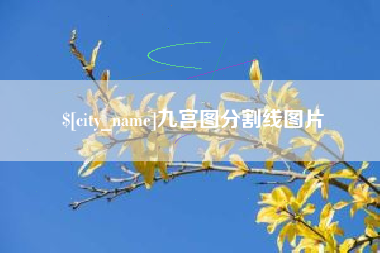 淮安九宫图分割线图片