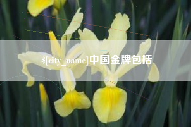 淮安中国金牌包括