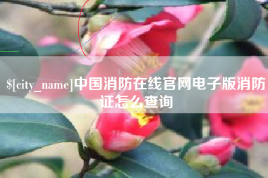 淮安中国消防在线官网电子版消防证怎么查询
