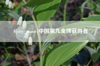 淮安中国第九金牌获得者