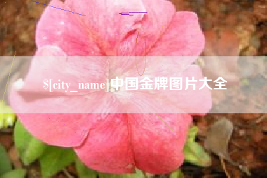 淮安中国金牌图片大全