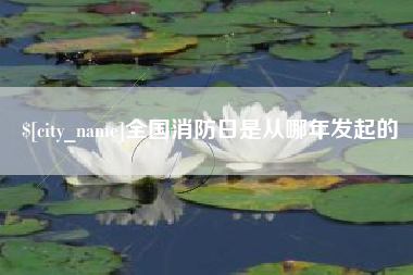 淮安全国消防日是从哪年发起的