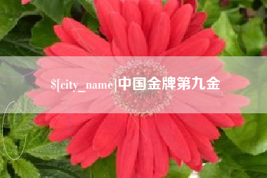 淮安中国金牌第九金