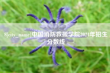 淮安中国消防救援学院2024年招生分数线