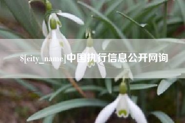 淮安中国执行信息公开网询