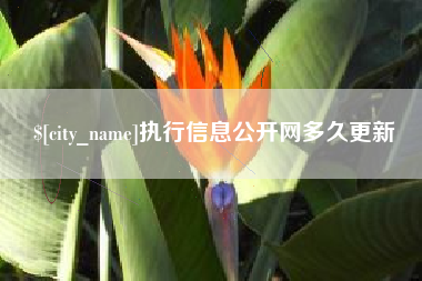 淮安执行信息公开网多久更新
