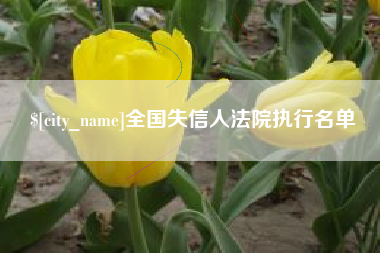 淮安全国失信人法院执行名单