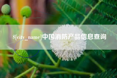 淮安中国消防产品信息查询