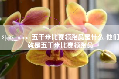 淮安五千米比赛领跑员是什么-他们就是五千米比赛领跑员