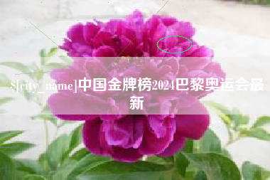 淮安中国金牌榜2024巴黎奥运会最新