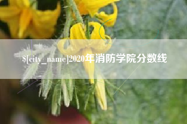 淮安2020年消防学院分数线