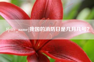 淮安我国的消防日是几月几号？