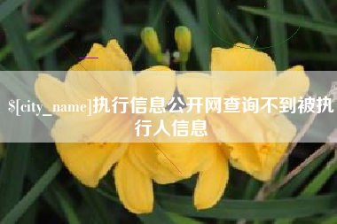 淮安执行信息公开网查询不到被执行人信息