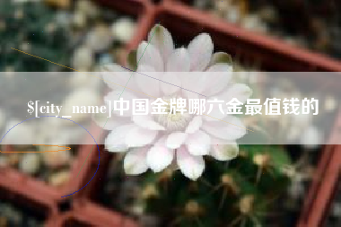 淮安中国金牌哪六金最值钱的