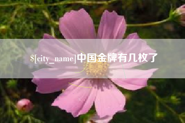 淮安中国金牌有几枚了