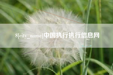 淮安中国执行执行信息网
