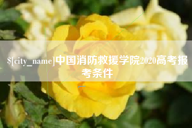 淮安中国消防救援学院2020高考报考条件