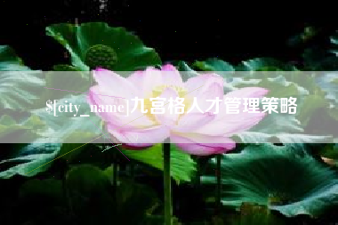 淮安九宫格人才管理策略