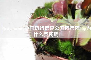 淮安中国执行信息公开网官网app为什么要钱呢