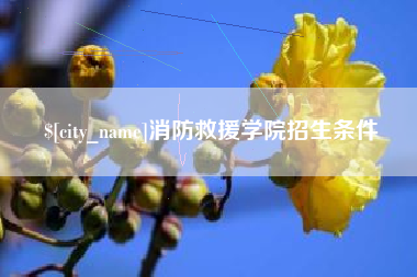 淮安消防救援学院招生条件