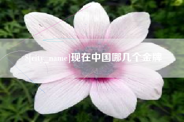 淮安现在中国哪几个金牌
